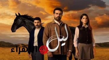 موعد عرض الحلقة 35 من مسلسل ليل الجزء الثاني على MBC1